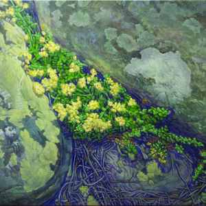 Dance of the Yellow Splash Lichen