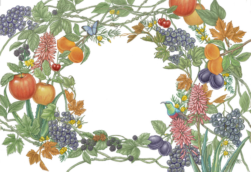Nature's Barrel - Agency: Bravo Design