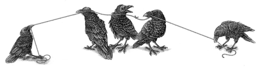 A Conspiracy of Ravens - The Vinoneers