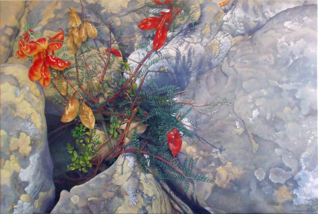 Sutherlandia Frutescens - The Cancer Bush