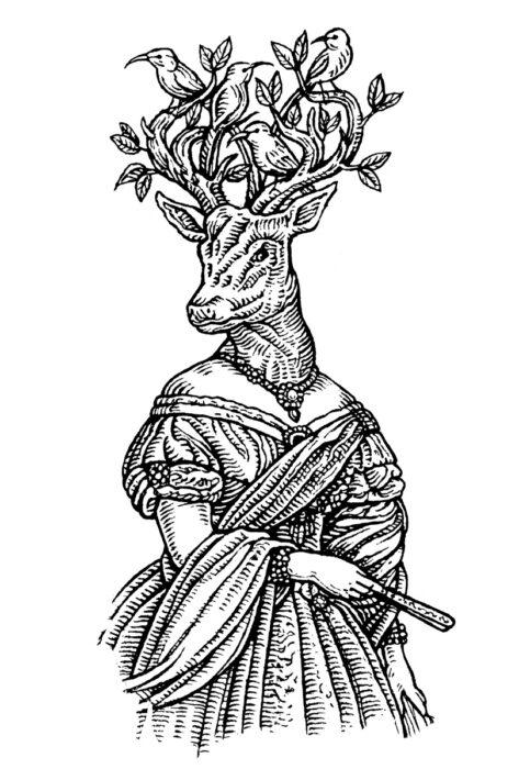 Victoria's Stag Gin - Agency: Bravo Design